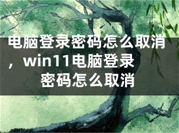 電腦登錄密碼怎么取消，win11電腦登錄密碼怎么取消