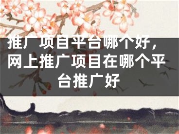 推廣項(xiàng)目平臺(tái)哪個(gè)好，網(wǎng)上推廣項(xiàng)目在哪個(gè)平臺(tái)推廣好