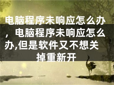 電腦程序未響應(yīng)怎么辦，電腦程序未響應(yīng)怎么辦,但是軟件又不想關(guān)掉重新開(kāi)