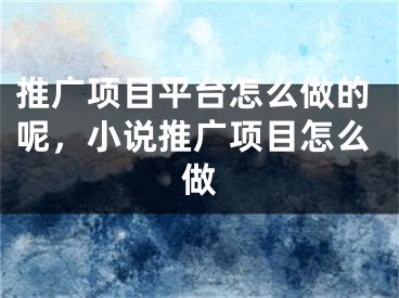 推廣項(xiàng)目平臺(tái)怎么做的呢，小說(shuō)推廣項(xiàng)目怎么做