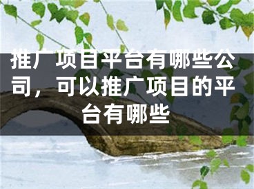 推廣項(xiàng)目平臺(tái)有哪些公司，可以推廣項(xiàng)目的平臺(tái)有哪些