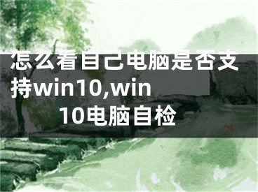 怎么看自己電腦是否支持win10,win10電腦自檢