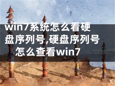 win7系統(tǒng)怎么看硬盤序列號,硬盤序列號怎么查看win7