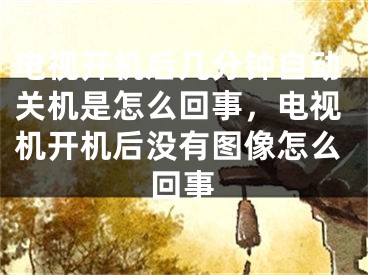 電視開機后幾分鐘自動關(guān)機是怎么回事，電視機開機后沒有圖像怎么回事