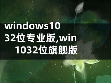 windows10 32位專業(yè)版,win1032位旗艦版