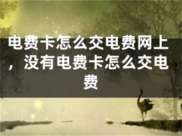 電費(fèi)卡怎么交電費(fèi)網(wǎng)上，沒有電費(fèi)卡怎么交電費(fèi)