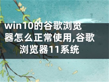 win10的谷歌瀏覽器怎么正常使用,谷歌瀏覽器11系統(tǒng)