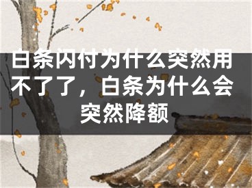 白條閃付為什么突然用不了了，白條為什么會(huì)突然降額