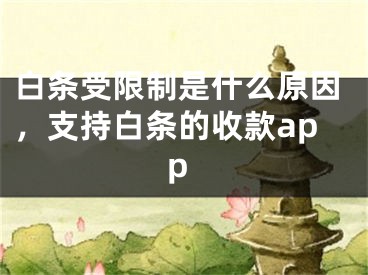 白條受限制是什么原因，支持白條的收款app