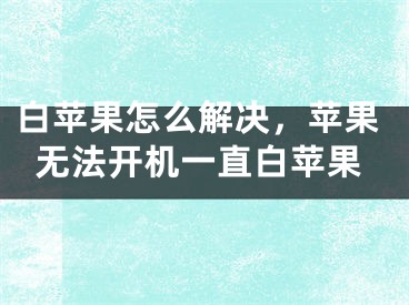 白蘋果怎么解決，蘋果無法開機(jī)一直白蘋果