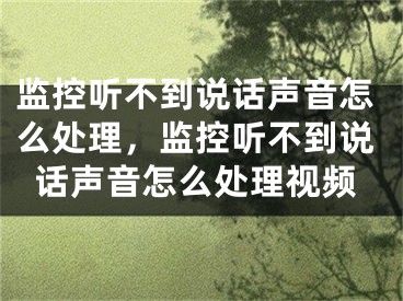 監(jiān)控聽不到說話聲音怎么處理，監(jiān)控聽不到說話聲音怎么處理視頻