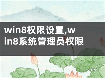 win8權(quán)限設置,win8系統(tǒng)管理員權(quán)限