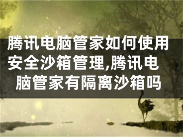 騰訊電腦管家如何使用安全沙箱管理,騰訊電腦管家有隔離沙箱嗎