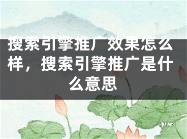 搜索引擎推廣效果怎么樣，搜索引擎推廣是什么意思