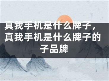 真我手機(jī)是什么牌子，真我手機(jī)是什么牌子的子品牌