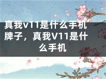 真我v11是什么手機(jī)牌子，真我V11是什么手機(jī)