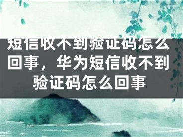 短信收不到驗證碼怎么回事，華為短信收不到驗證碼怎么回事