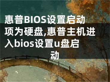 惠普BIOS設置啟動項為硬盤,惠普主機進入bios設置u盤啟動