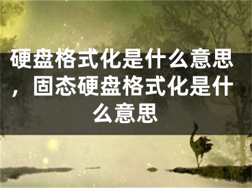 硬盤格式化是什么意思，固態(tài)硬盤格式化是什么意思