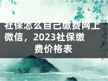 社保怎么自己繳費網(wǎng)上微信，2023社保繳費價格表