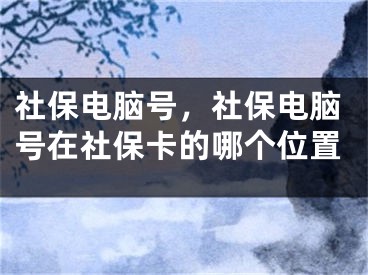 社保電腦號(hào)，社保電腦號(hào)在社?？ǖ哪膫€(gè)位置