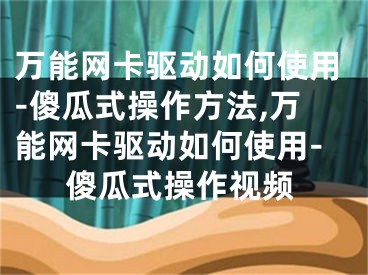 萬能網(wǎng)卡驅(qū)動(dòng)如何使用-傻瓜式操作方法,萬能網(wǎng)卡驅(qū)動(dòng)如何使用-傻瓜式操作視頻