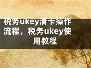 稅務(wù)ukey清卡操作流程，稅務(wù)ukey使用教程