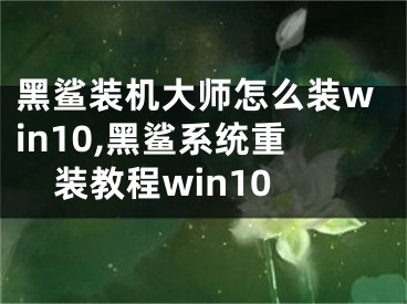 黑鯊裝機(jī)大師怎么裝win10,黑鯊系統(tǒng)重裝教程win10