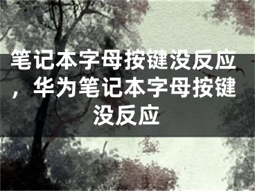 筆記本字母按鍵沒反應(yīng)，華為筆記本字母按鍵沒反應(yīng)