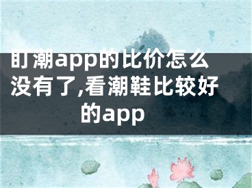 盯潮app的比價怎么沒有了,看潮鞋比較好的app