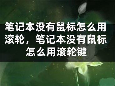 筆記本沒有鼠標怎么用滾輪，筆記本沒有鼠標怎么用滾輪鍵