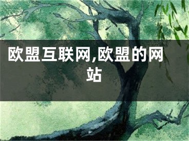 歐盟互聯(lián)網(wǎng),歐盟的網(wǎng)站