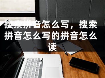 搜索拼音怎么寫，搜索拼音怎么寫的拼音怎么讀