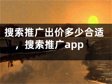 搜索推廣出價(jià)多少合適，搜索推廣app