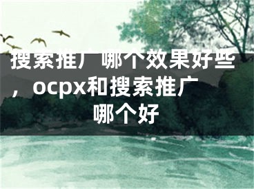 搜索推廣哪個(gè)效果好些，ocpx和搜索推廣哪個(gè)好