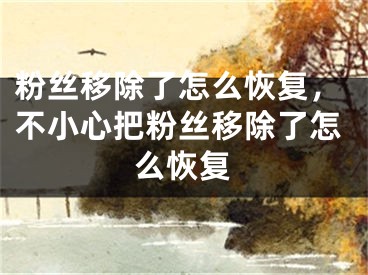 粉絲移除了怎么恢復(fù)，不小心把粉絲移除了怎么恢復(fù)