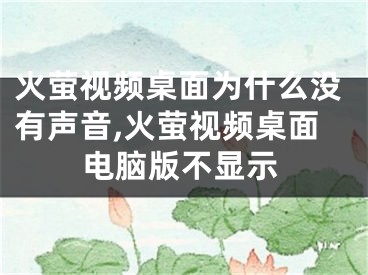 火螢視頻桌面為什么沒有聲音,火螢視頻桌面電腦版不顯示