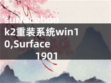 surfacebook2重裝系統(tǒng)win10,Surface 1901