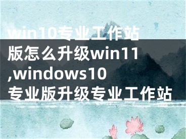 win10專業(yè)工作站版怎么升級win11,windows10專業(yè)版升級專業(yè)工作站