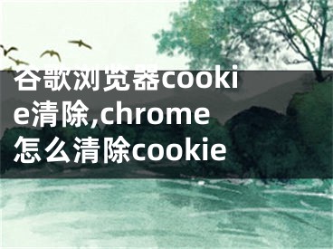 谷歌瀏覽器cookie清除,chrome怎么清除cookie