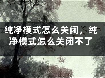 純凈模式怎么關(guān)閉，純凈模式怎么關(guān)閉不了