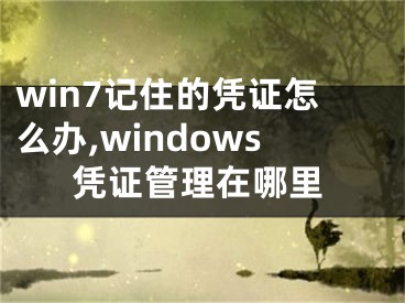 win7記住的憑證怎么辦,windows憑證管理在哪里