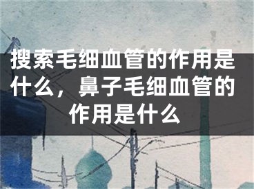 搜索毛細(xì)血管的作用是什么，鼻子毛細(xì)血管的作用是什么