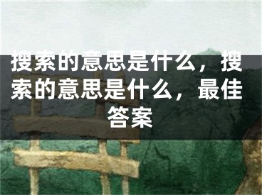 搜索的意思是什么，搜索的意思是什么，最佳答案