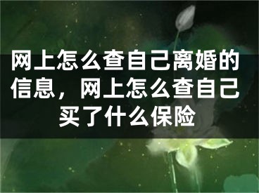 網(wǎng)上怎么查自己離婚的信息，網(wǎng)上怎么查自己買(mǎi)了什么保險(xiǎn)