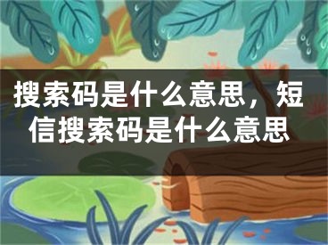 搜索碼是什么意思，短信搜索碼是什么意思