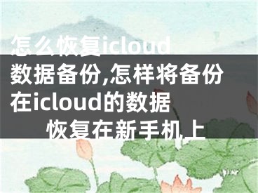 怎么恢復(fù)icloud數(shù)據(jù)備份,怎樣將備份在icloud的數(shù)據(jù)恢復(fù)在新手機(jī)上