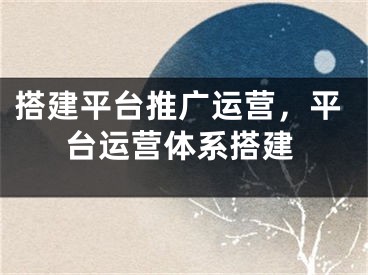 搭建平臺推廣運營，平臺運營體系搭建