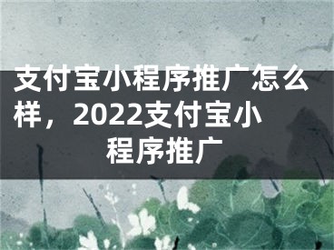 支付寶小程序推廣怎么樣，2022支付寶小程序推廣