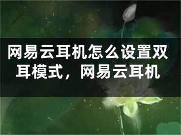 網(wǎng)易云耳機(jī)怎么設(shè)置雙耳模式，網(wǎng)易云耳機(jī)